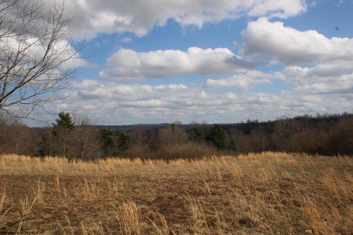 Lot 9 Cascade Rd, Masontown, WV, 26542 | Card Image