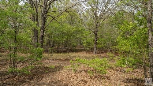 0000 Farm Road 195, Bagwell, TX, 75412 | Card Image