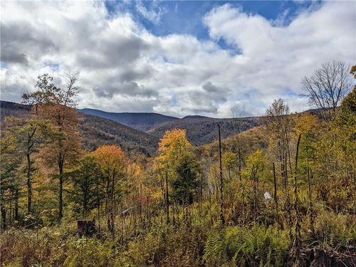 44 Larkin Farm Road, Shandaken, NY, 12480 | Card Image