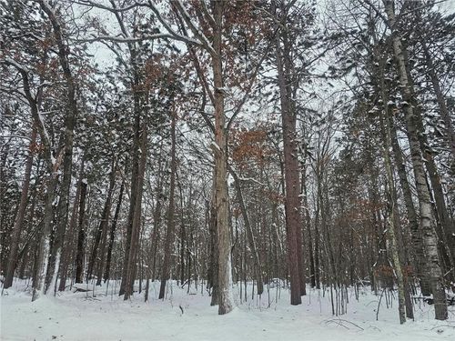 Lot 6 Long Lake Rd, Danbury, WI, 54830 | Card Image