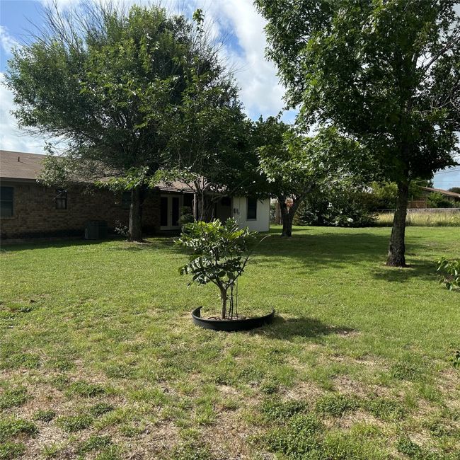 Another view of the back yard | Image 5