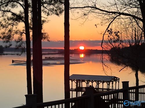 380 County Road 625, Cedar Bluff, AL, 35959 | Card Image