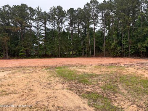 0 Mississippi 35, Carthage, MS, 39051 | Card Image