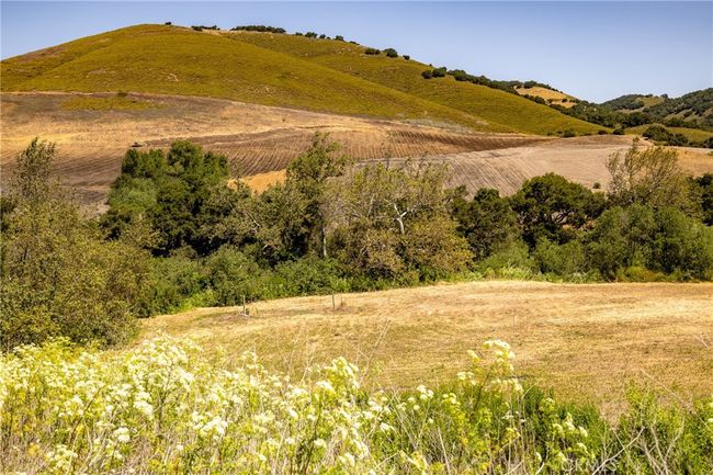 680 Spring Canyon Ln, Home with 0 bedrooms, 0 bathrooms and null parking in Nipomo CA | Image 13
