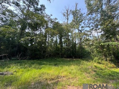 08 Bains Rd, Saint Francisville, LA, 70775 | Card Image