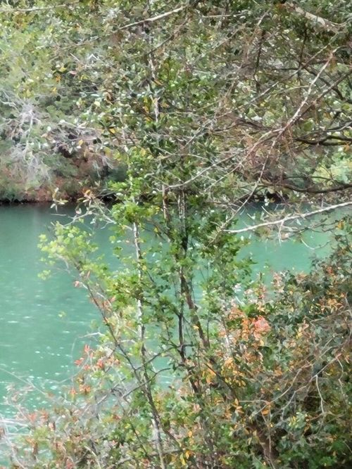 118 Tranquility Dr, Crestview, FL, 32536-9505 | Card Image