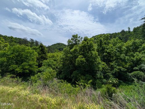 Tbd Speers Valley Rd, Duffield, VA, 24244 | Card Image