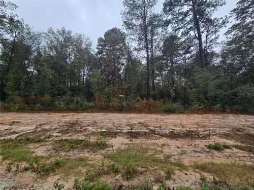 142 Splendid Road, New Waverly, TX, 77358 | Card Image