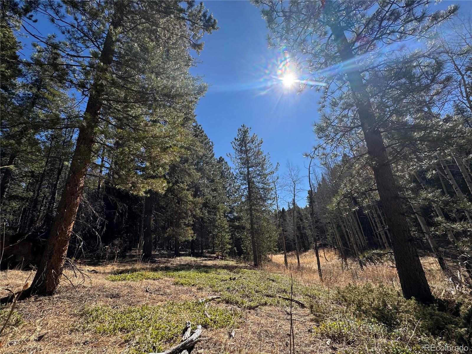 Land in Conifer