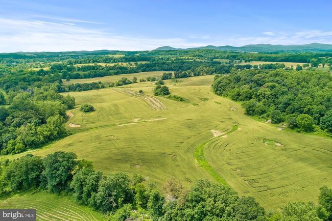 8160 Frogtown Rd, Home with 0 bedrooms, 0 bathrooms and null parking in MARSHALL VA | Image 33