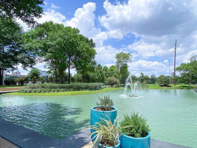 The grounds at Spires | Image 22