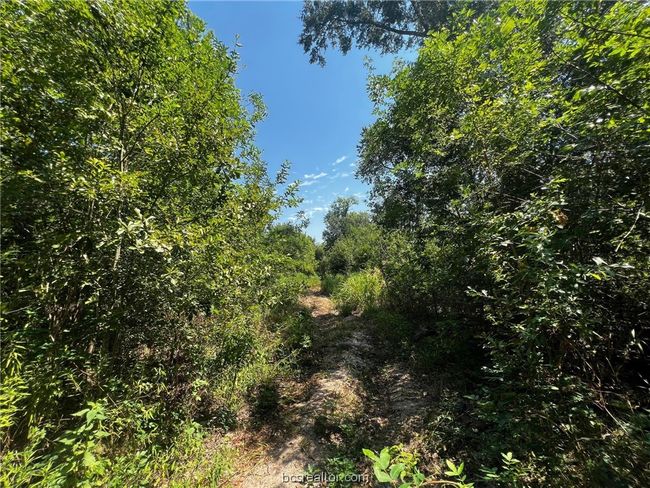 30 Fm 1486, Home with 0 bedrooms, 0 bathrooms and null parking in Richards TX | Image 9