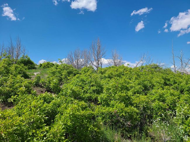 C7 - 7 Thunder Cloud Cir, Home with 0 bedrooms, 0 bathrooms and null parking in Fairview UT | Image 4