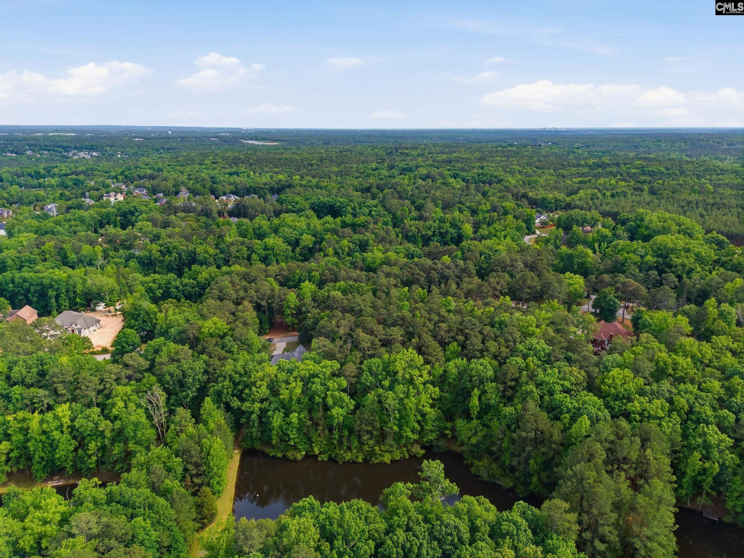 Land in Blythewood 5