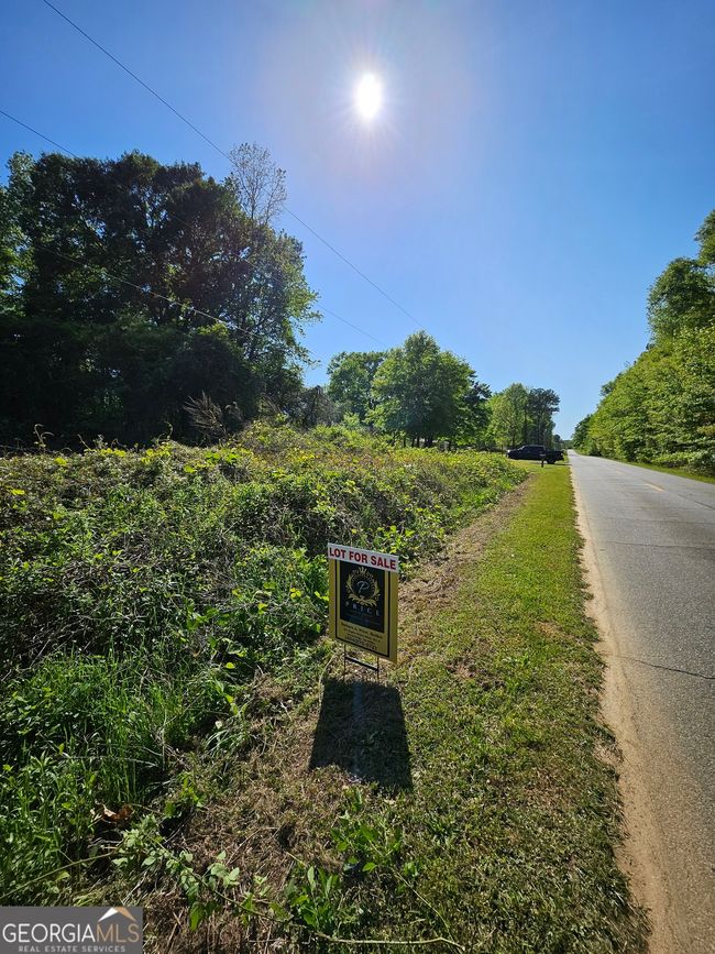 0 Dixie Hwy, Home with 0 bedrooms, 0 bathrooms and null parking in Rutledge GA | Image 7