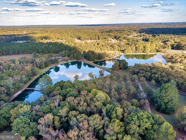 2066 Drew Allen Rd, House other with 4 bedrooms, 3 bathrooms and 3 parking in Williamson GA | Image 100