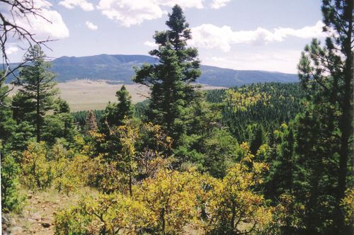 Lots 16 Lot17 Palo Flechado Ridge Road, Angel Fire, NM, 87710 | Card Image