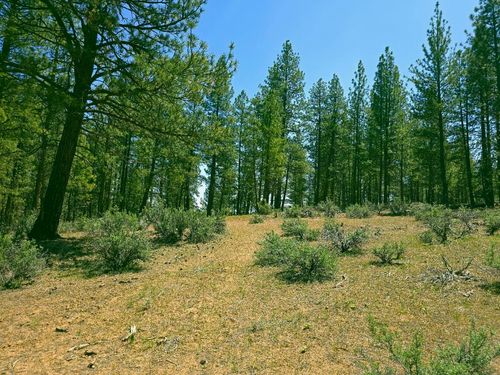 20 Elde St, Chiloquin, OR, 97624 | Card Image
