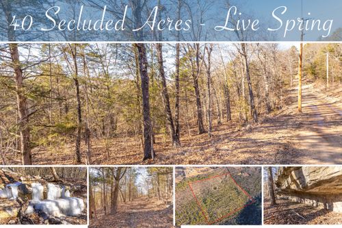 10349 Sinclair Ln, Omaha, AR, 72662-9772 | Card Image