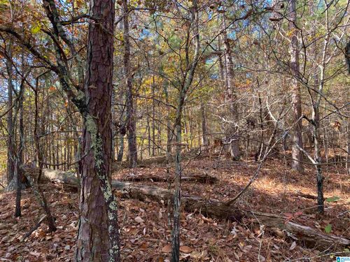 14-914 Paradise Point Dr, Columbiana, AL, 35051-9428 | Card Image