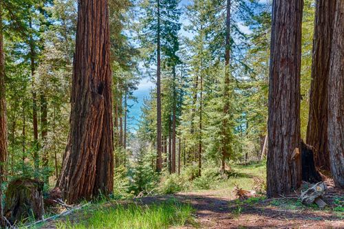 22196 Umland Cir, Jenner, CA, 95450-9703 | Card Image