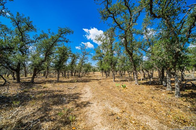 436 Stevens Ranch Rd, Home with 0 bedrooms, 0 bathrooms and null parking in Harper TX | Image 9