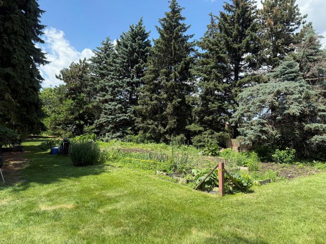 Community Garden | Image 24