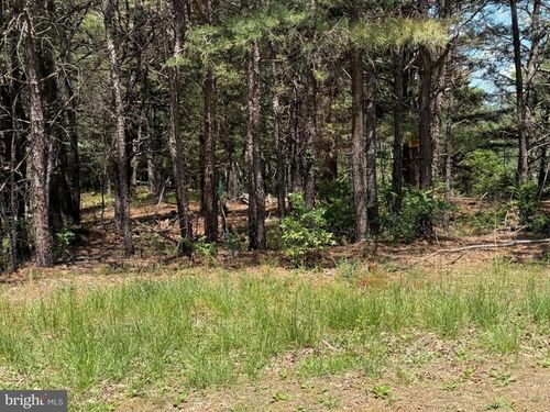 Lot 89 Orndorff Way, YELLOW SPRING, WV, 26865 | Card Image
