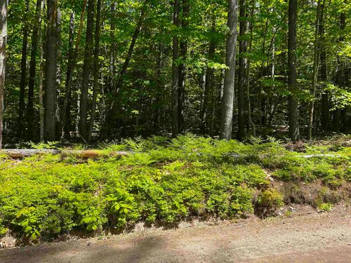 -- Freedom Point Rd, Freedom, NH, 03836 | Card Image