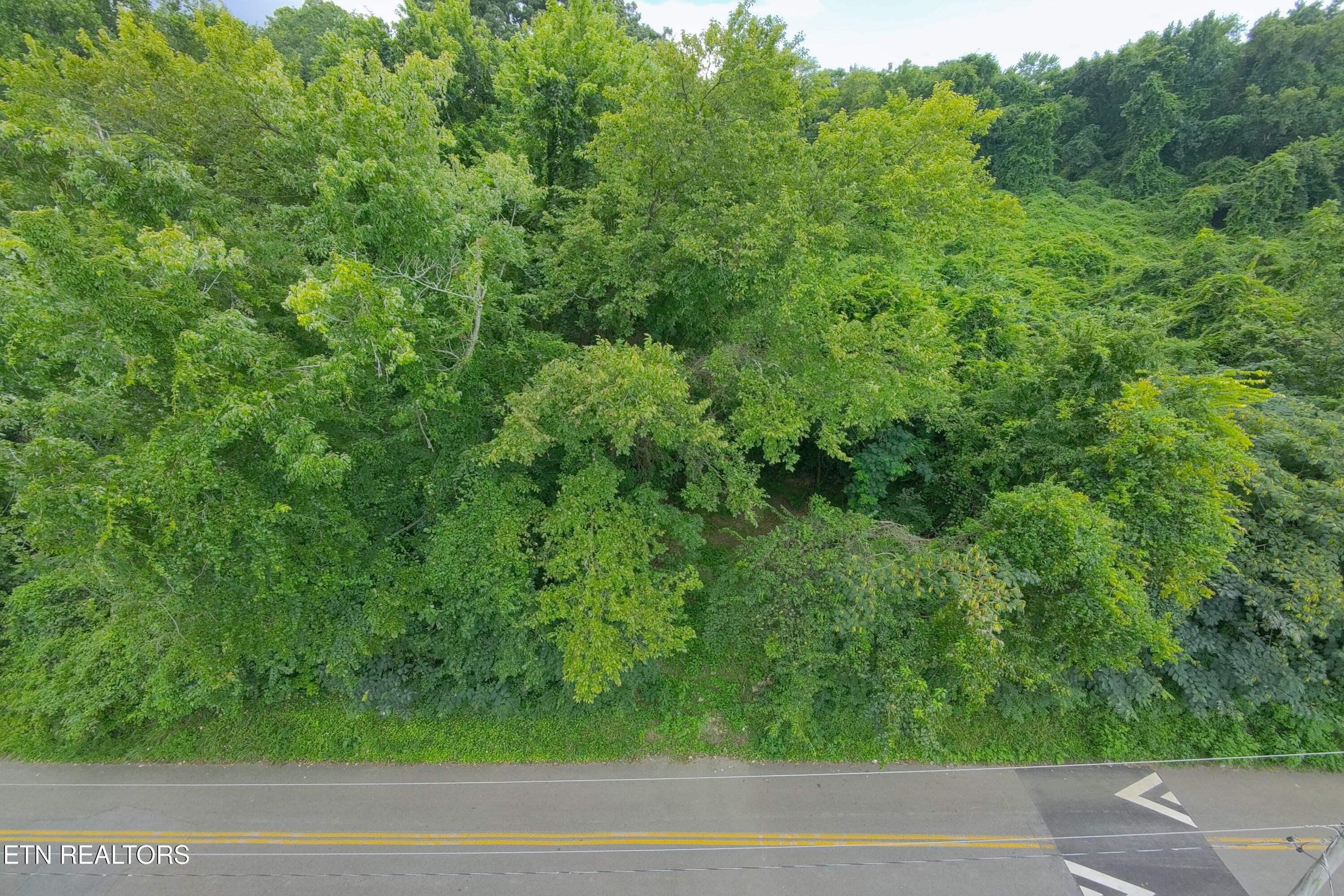 Land in Knoxville 4