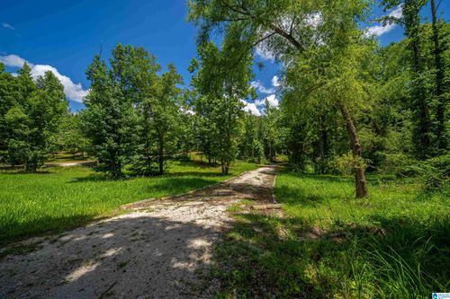 0-0 County Road 336, Piedmont, AL, 36272 | Card Image