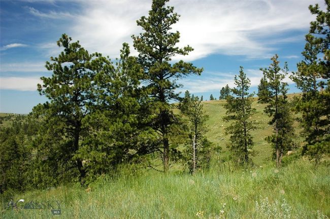 SC-25 - TBD Lone Rock Canyon Lane, Home with 0 bedrooms, 0 bathrooms and null parking in Hysham MT | Image 39