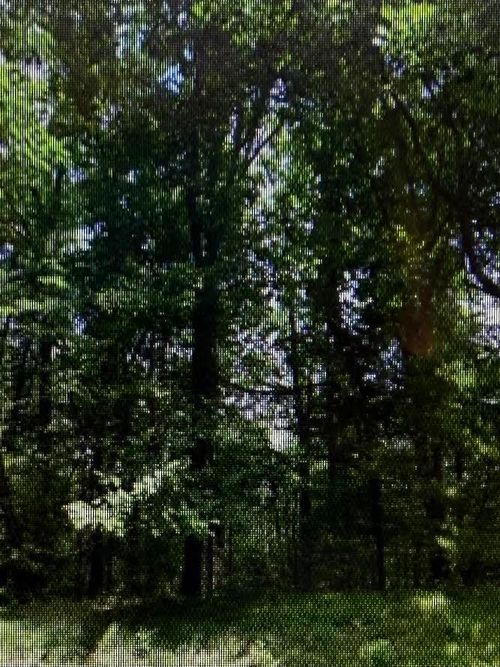 0 Raintree Rd, Roanoke, VA, 24018 | Card Image