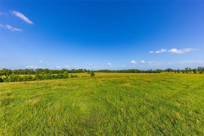 RD - 9759 Texas Highway 155, Home with 0 bedrooms, 0 bathrooms and null parking in Avinger TX | Image 30