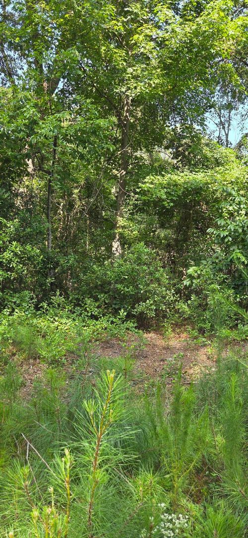 0 Cherokee Dr, North Augusta, SC, 29841 | Card Image