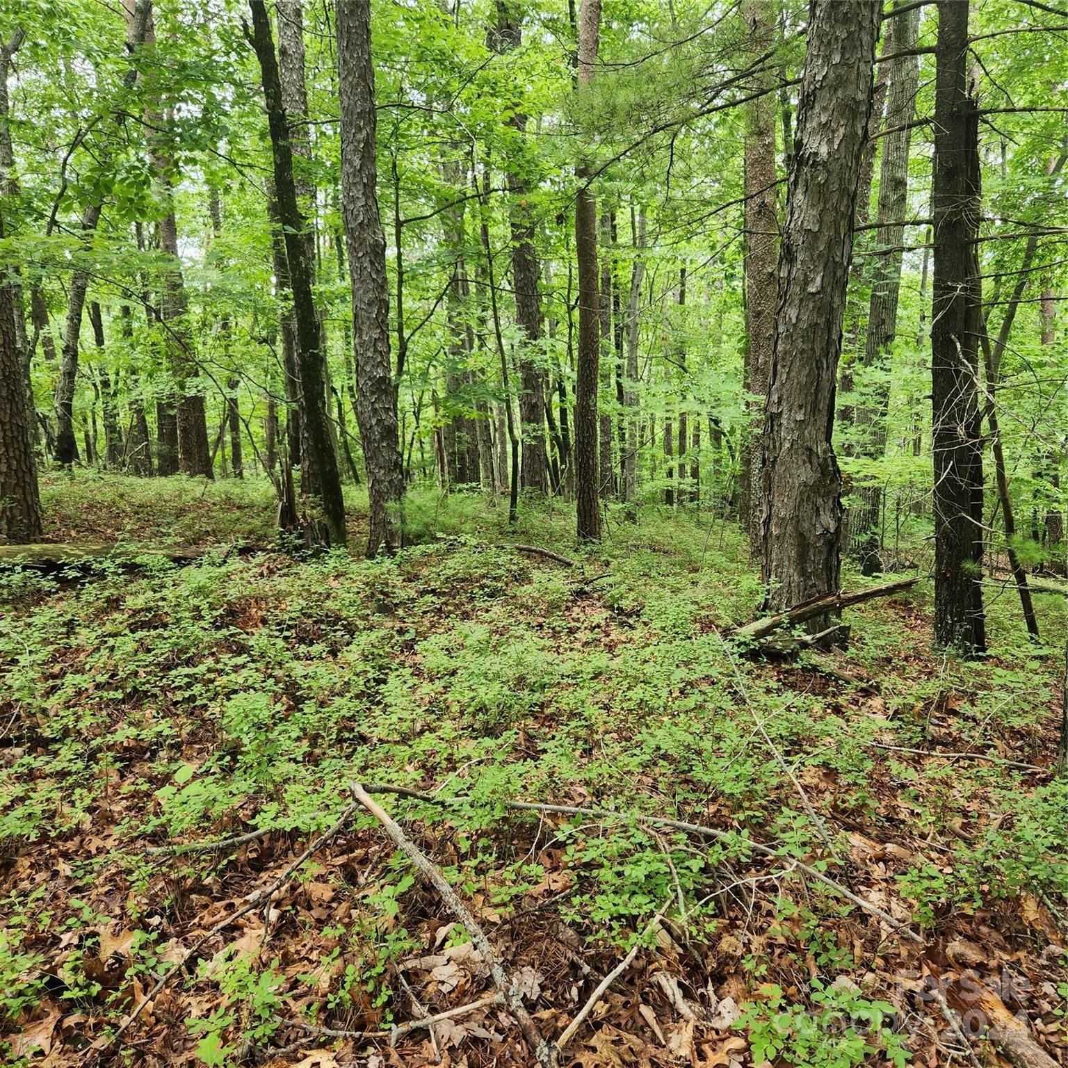 21 0 Buttonwood Road, For Sale in Connelly Springs Zoocasa