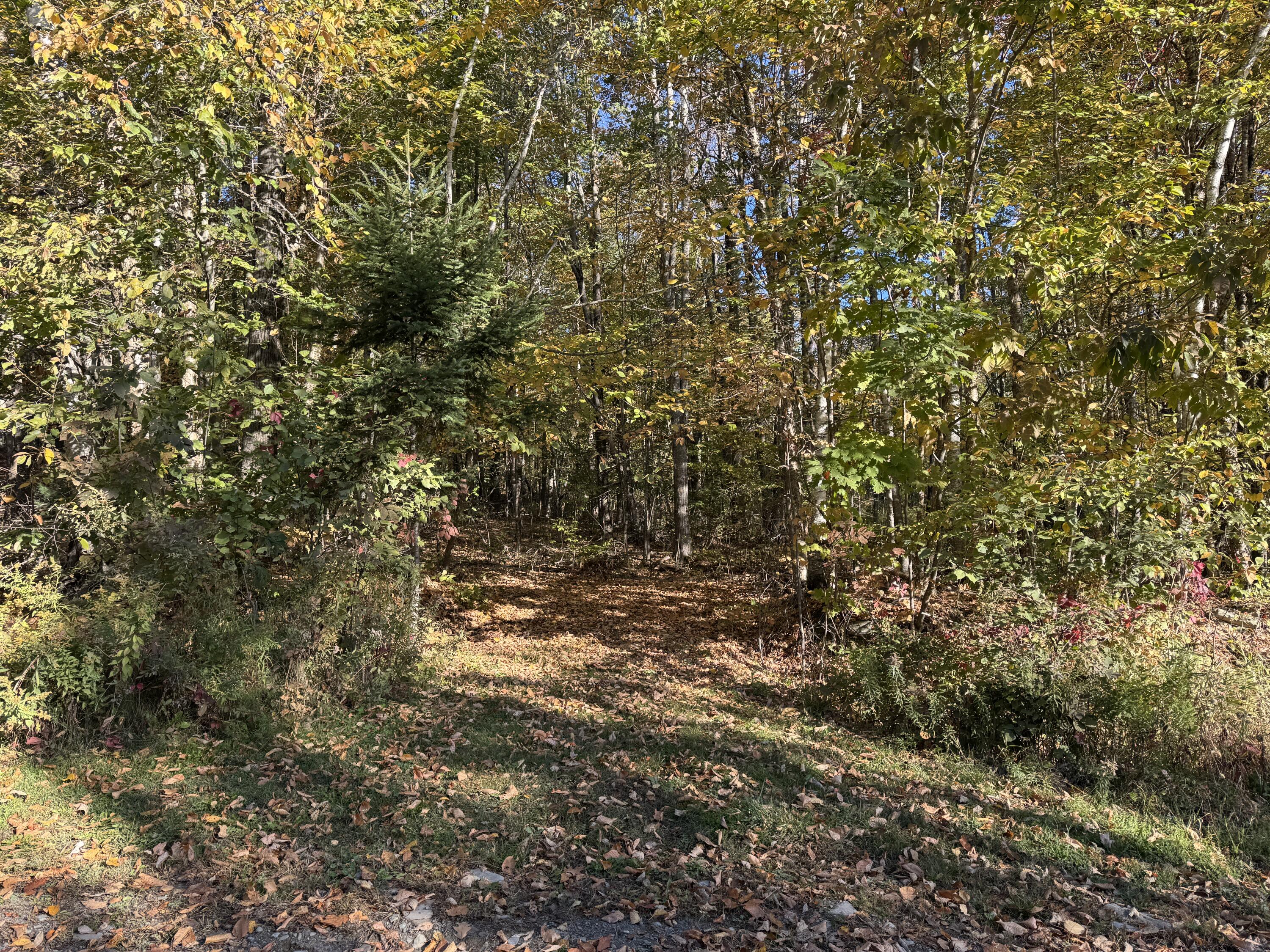 Land in Saint Albans 2