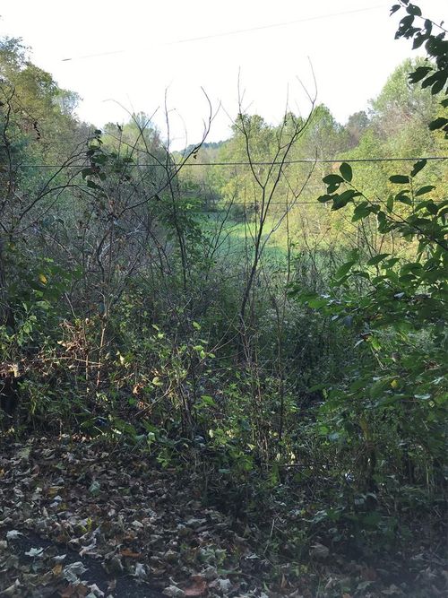 TBD Lot#47 Grinstead Hill Road, Chilhowie, VA, 24319 | Card Image