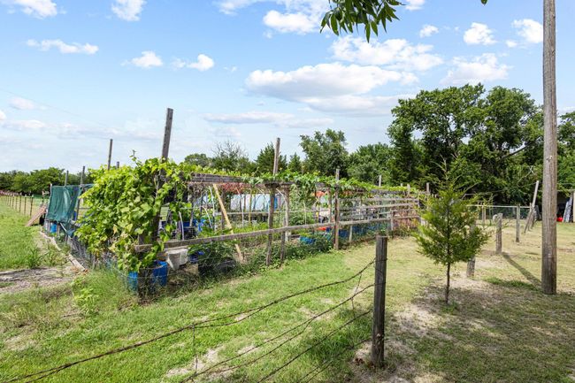 View of yard featuring a garden | Image 32