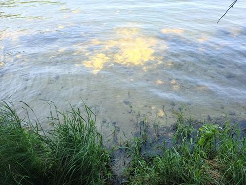 XXX E White Swan Lake Rd, Bigfork, MN, 56628 | Card Image