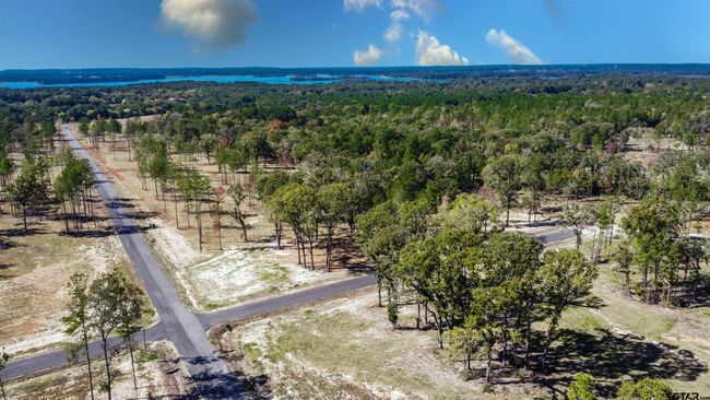 15538 Aniston Ln, Home with 0 bedrooms, 0 bathrooms and null parking in Flint TX | Image 40