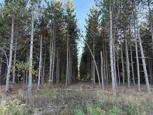 Lot 3 Plantation Rd, Pelican Lake, WI, 54463 | Card Image