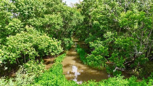 31100 Old Sour Lake Rd, Sour Lake, TX, 77659 | Card Image