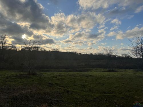 TBD County Road 435d, Laneville, TX, 75667 | Card Image