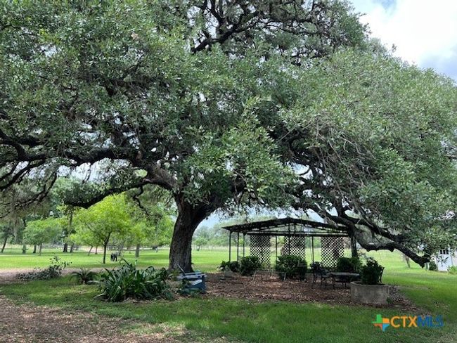 1037 Noll Rd, House other with 3 bedrooms, 3 bathrooms and null parking in Meyersville TX | Image 34