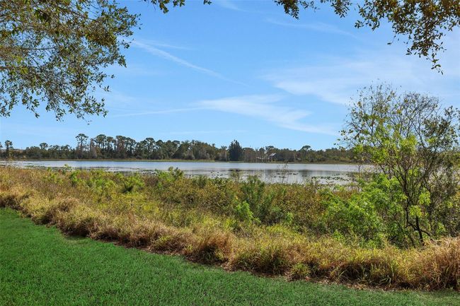 Lake Reeves | Image 24