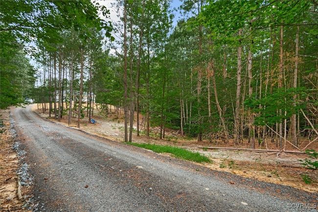 Long driveway, with tons of trees for added privacy, lots of deer | Image 31