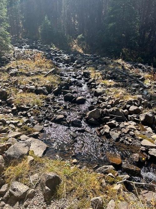 16667 Little Jesse Mc, Nathrop, CO, 81236 | Card Image