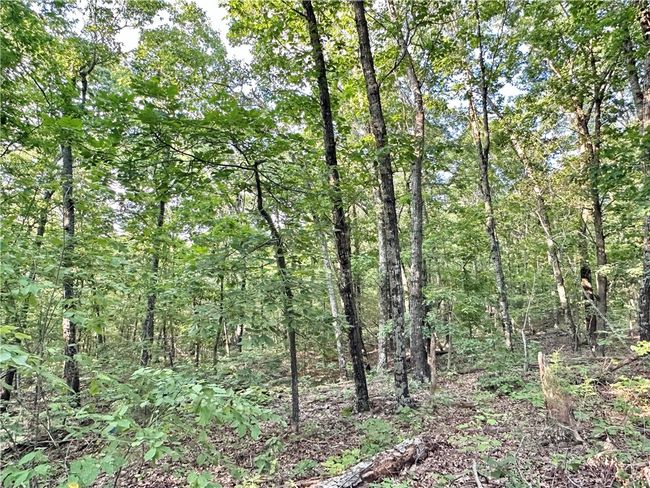 11 Slaty Gap Road, Home with 0 bedrooms, 0 bathrooms and null parking in West Fork AR | Image 11