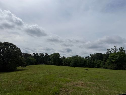 TBD Cr 1404, Jacksonville, TX, 75766 | Card Image